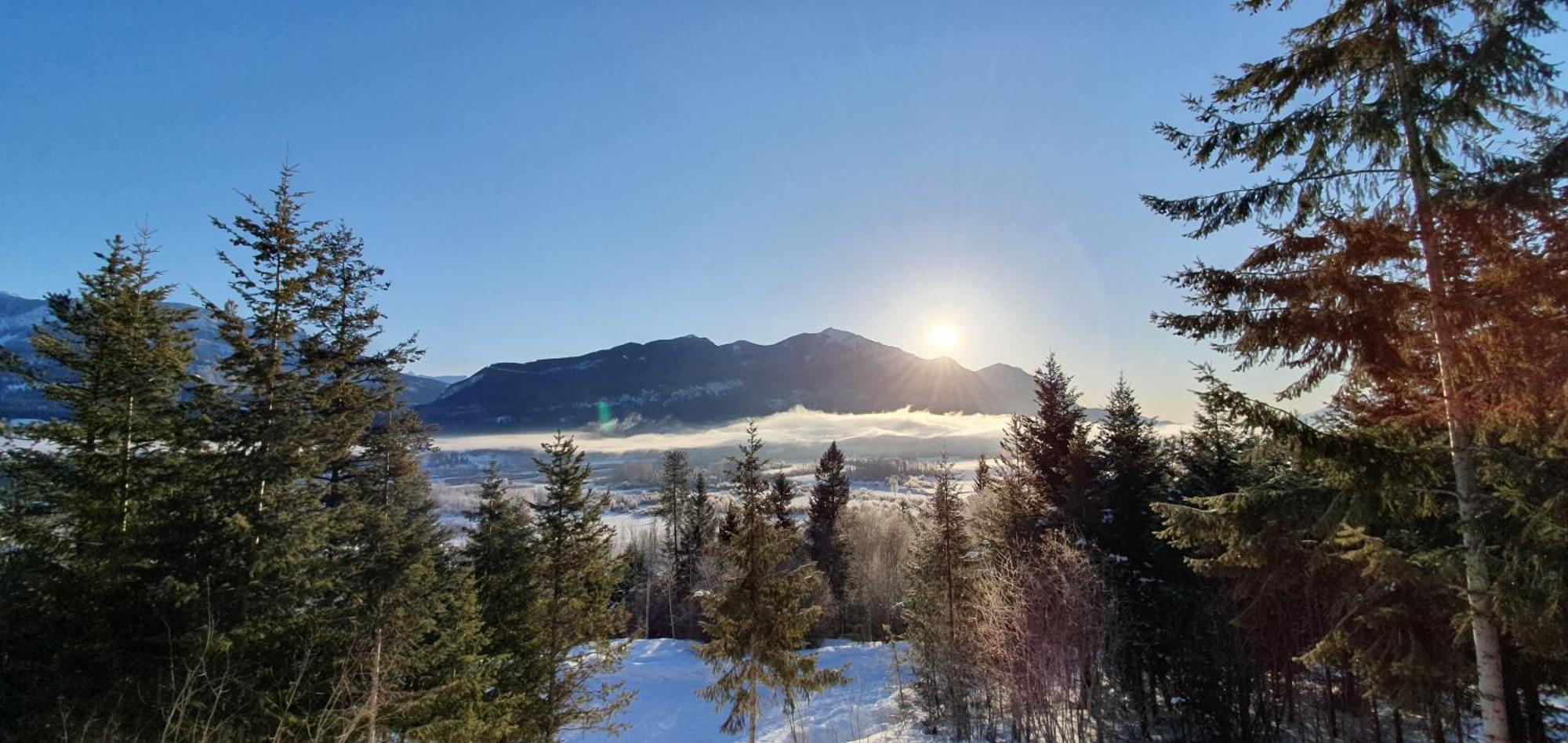 Alpine Meadows Lodge Golden Εξωτερικό φωτογραφία