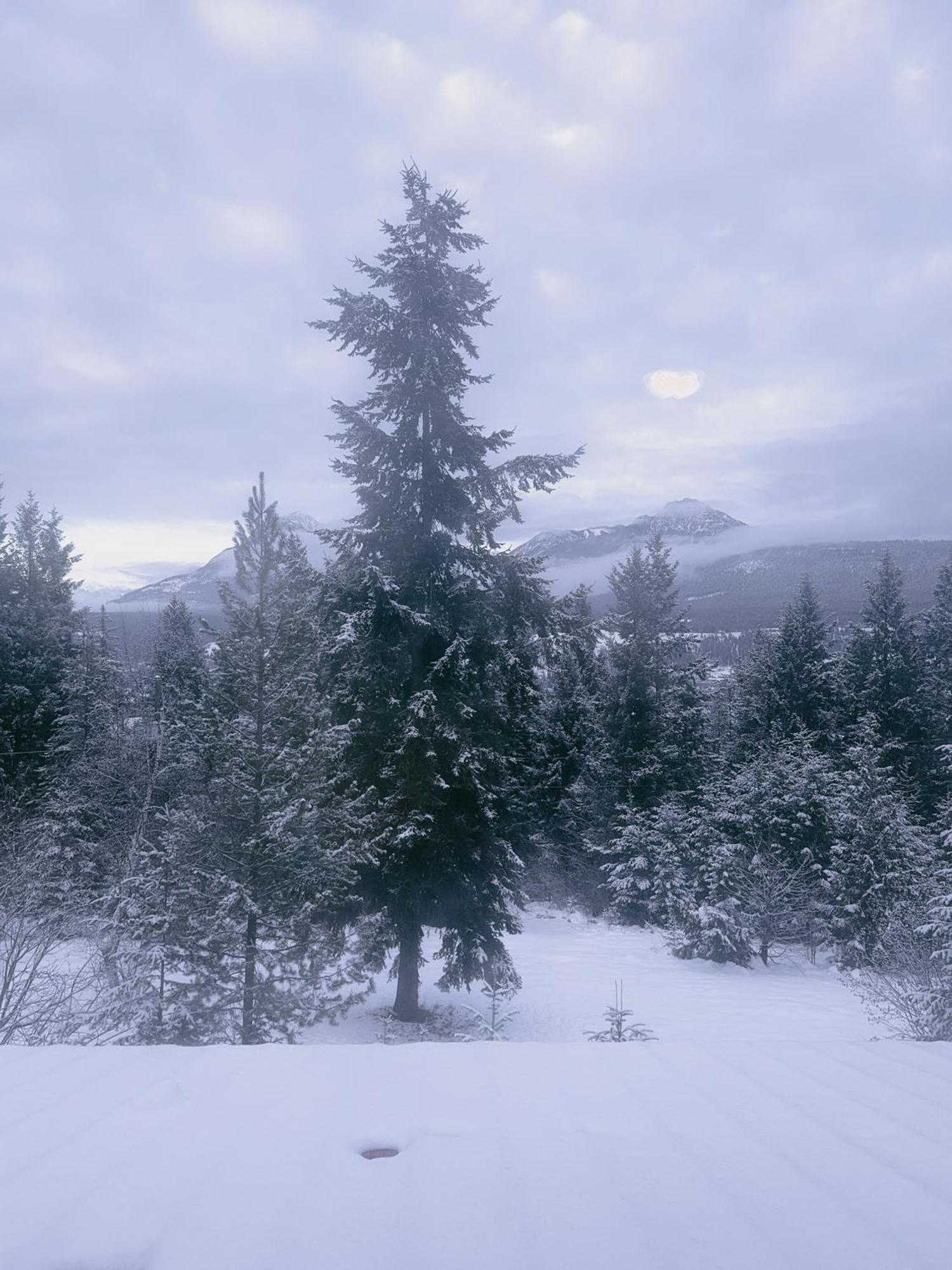 Alpine Meadows Lodge Golden Εξωτερικό φωτογραφία